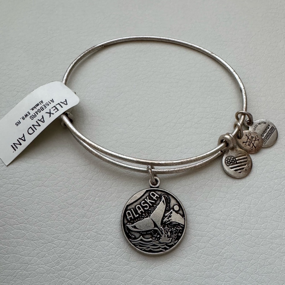 Alex and Ani Silver Alaska Charm Bracelet